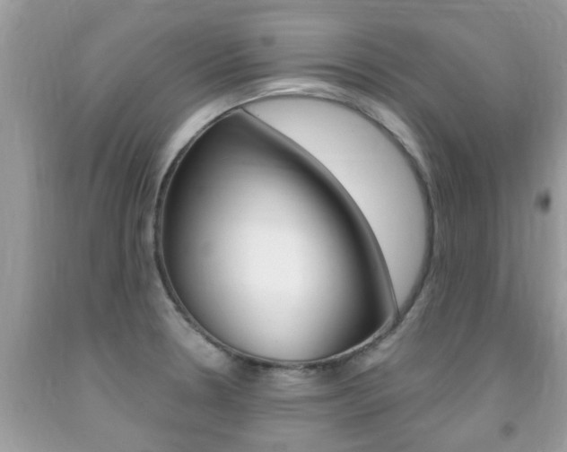 X0000091941330200709051254