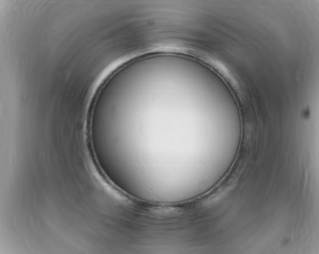 X0000091941331200709051254
