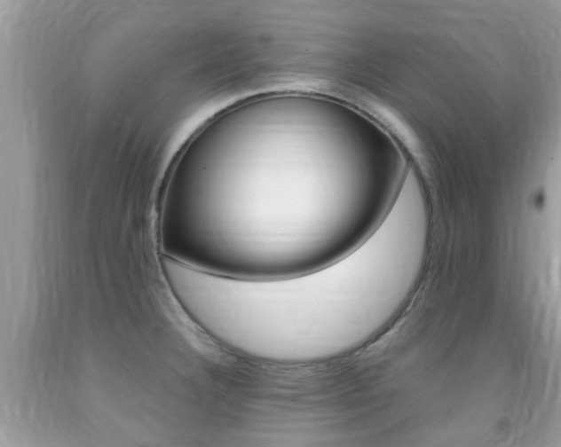 X0000091941332200709051254