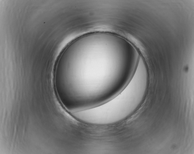 X0000091941334200709051254
