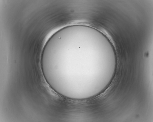 X0000091941336200709051254