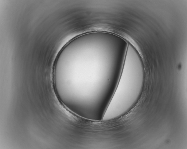 X0000091941339200709051254