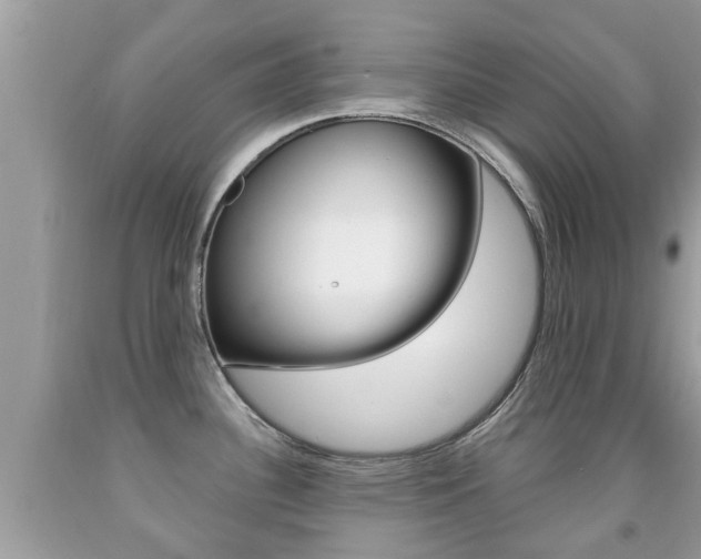 X0000091941340200709051254