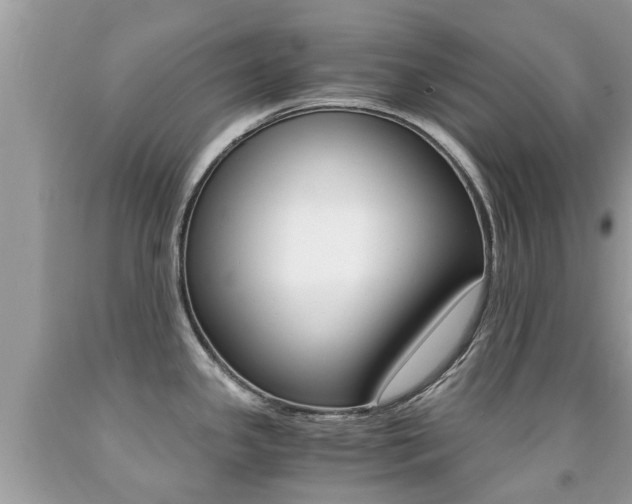 X0000091941341200709051254