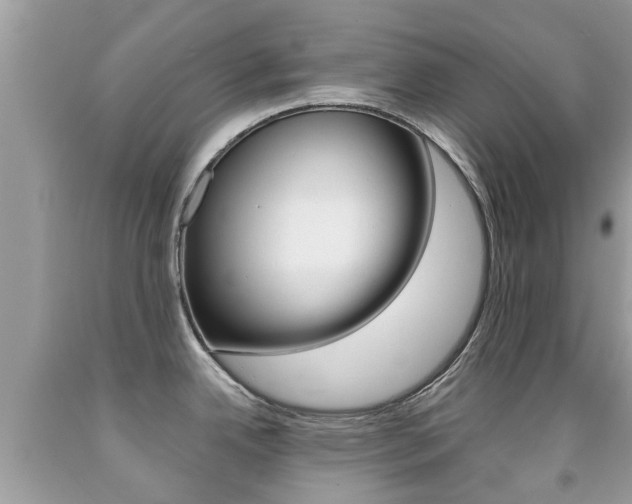 X0000091941342200709051254