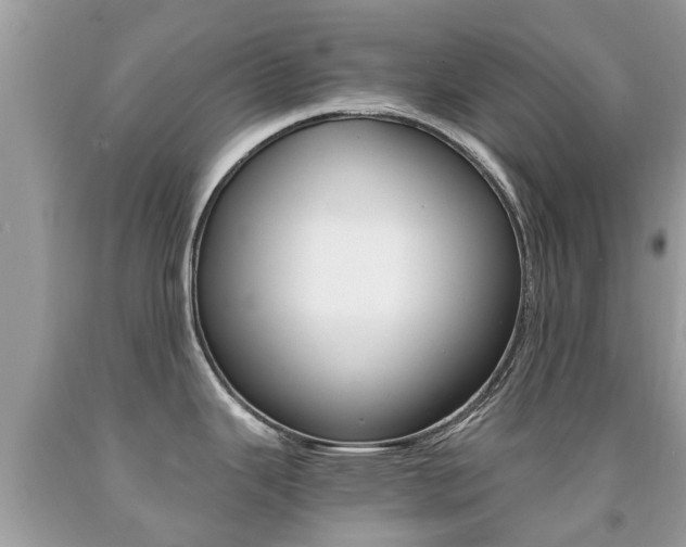 X0000091941343200709051254