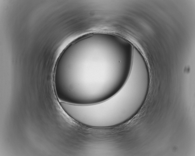 X0000091941344200709051254