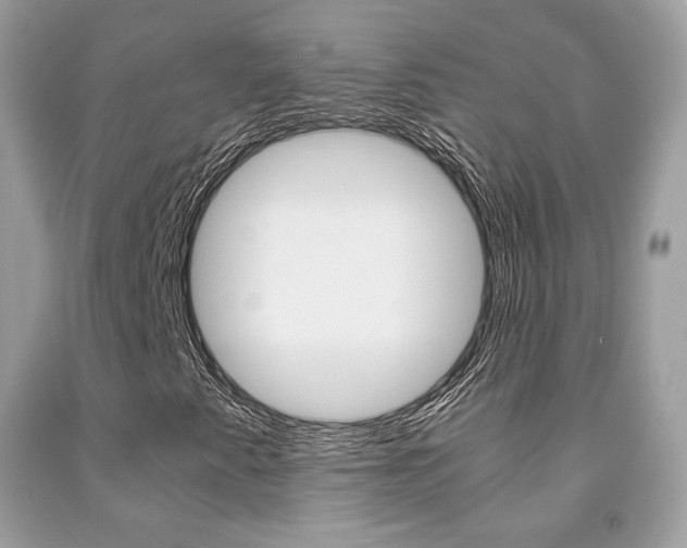 X0000091941345200709051253