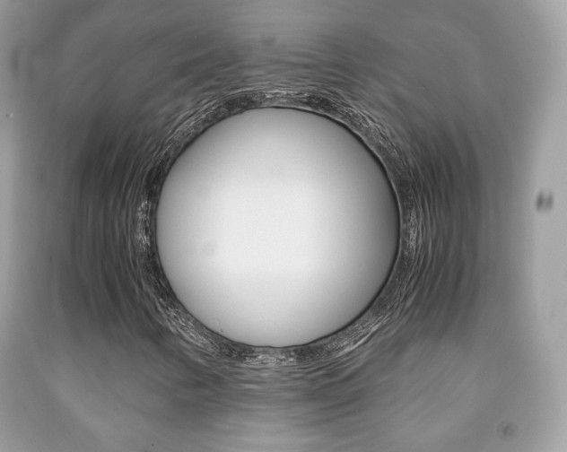 X0000091941346200709051253