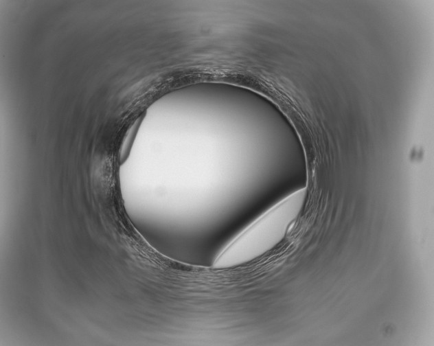 X0000091941347200709051253