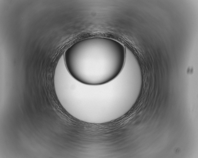X0000091941348200709051253
