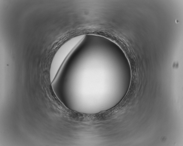 X0000091941349200709051253