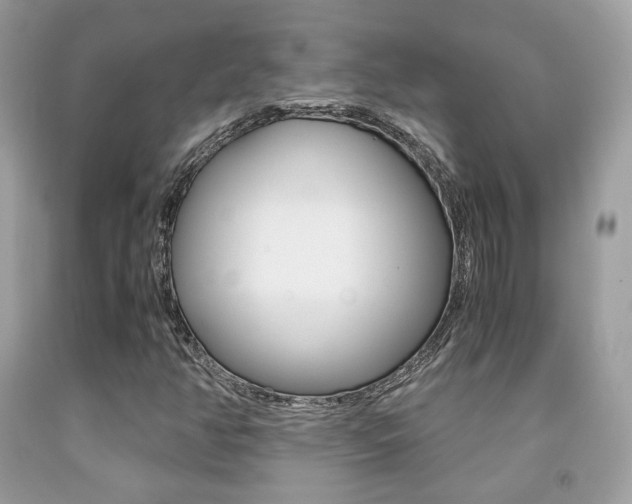 X0000091941350200709051253