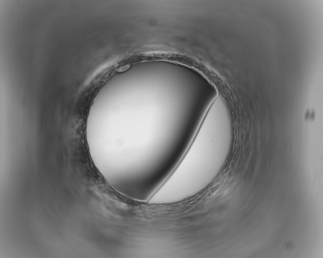 X0000091941351200709051253