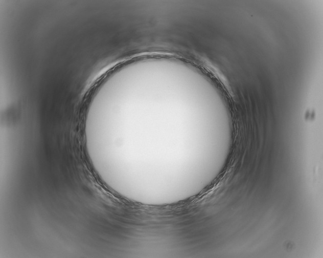X0000091941352200709051253