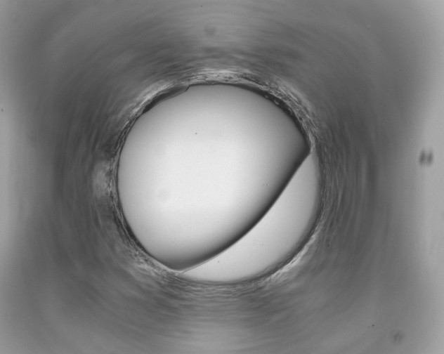 X0000091941353200709051253