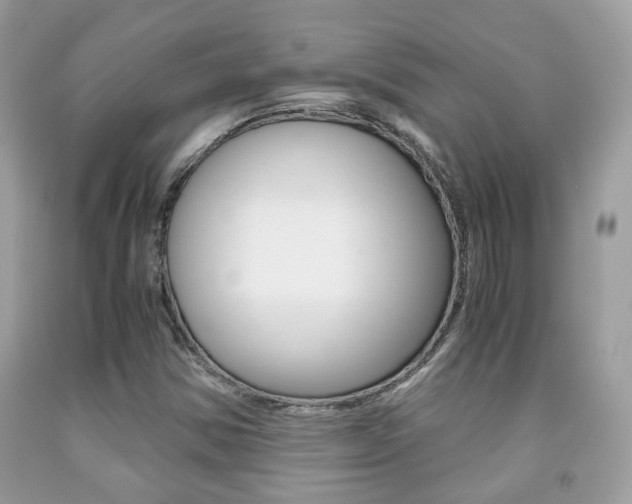 X0000091941354200709051253