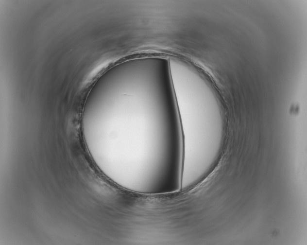 X0000091941355200709051253