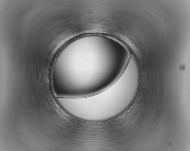 X0000091941356200709051253