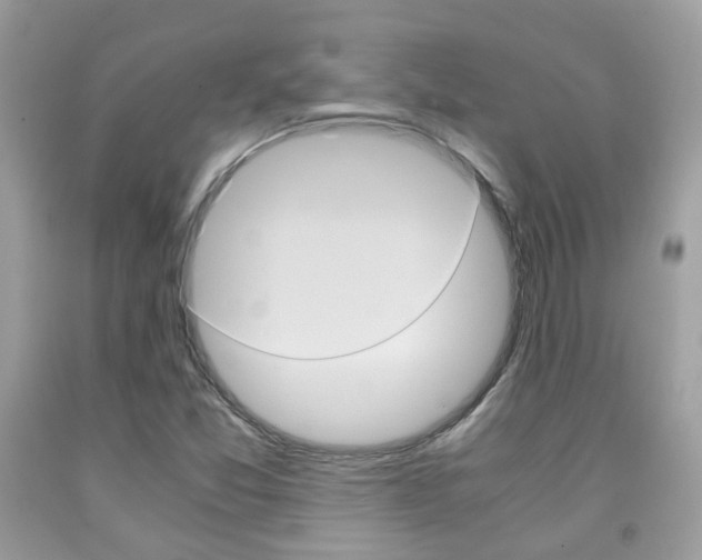 X0000091941357200709051253