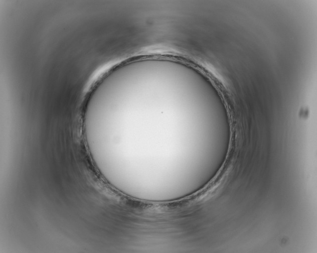 X0000091941358200709051253