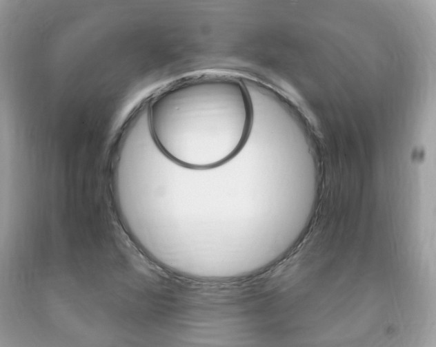 X0000091941360200709051253