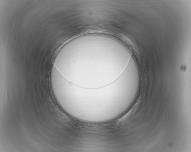 X0000091941361200709051253