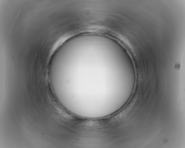 X0000091941362200709051253