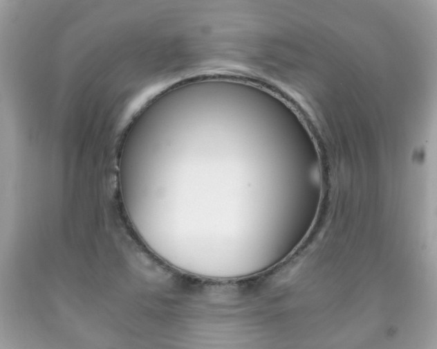 X0000091941363200709051253