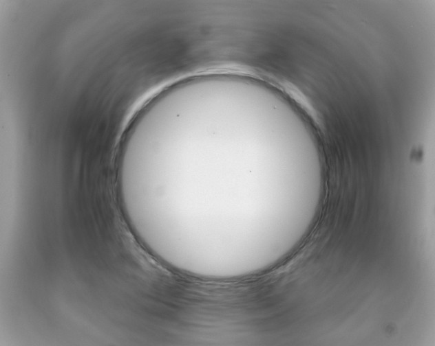 X0000091941364200709051253