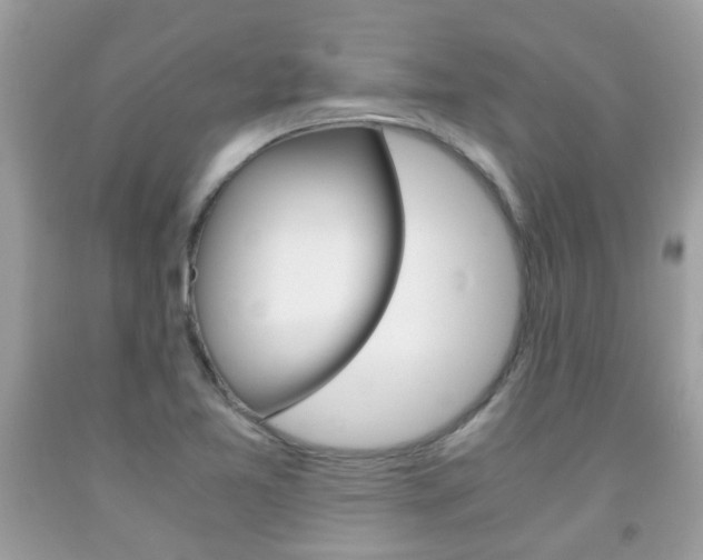 X0000091941365200709051253