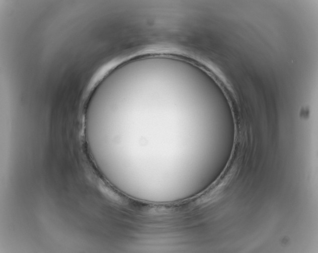 X0000091941366200709051253
