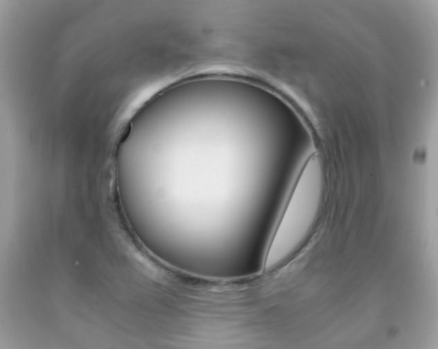 X0000091941367200709051253