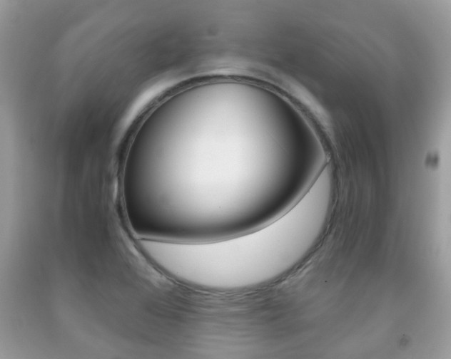 X0000091941368200709051253