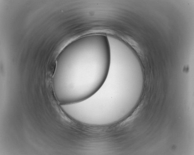 X0000091941369200709051253
