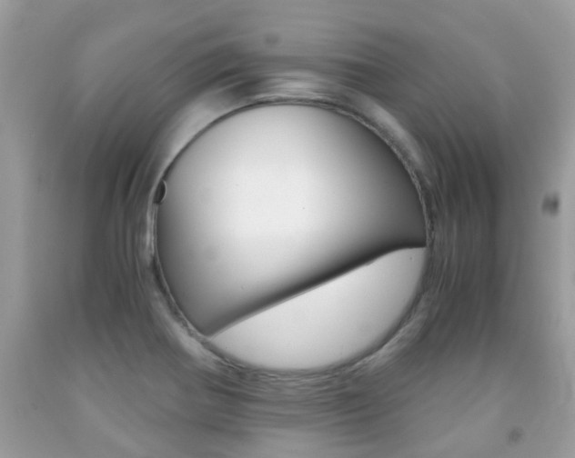 X0000091941370200709051253