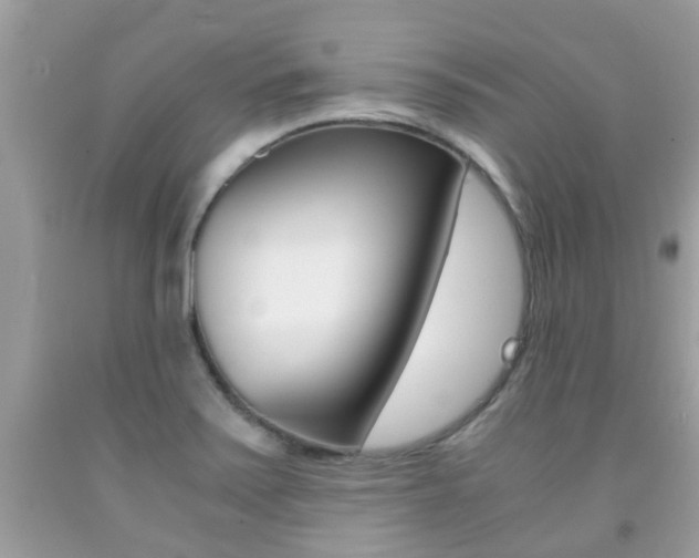 X0000091941371200709051253