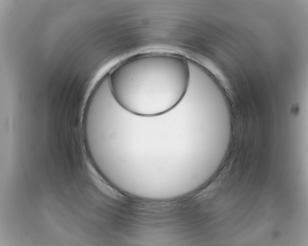 X0000091941372200709051253