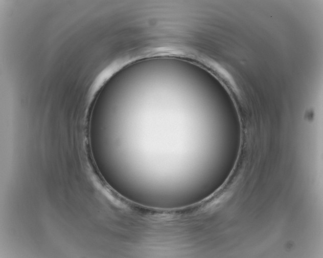 X0000091941373200709051253