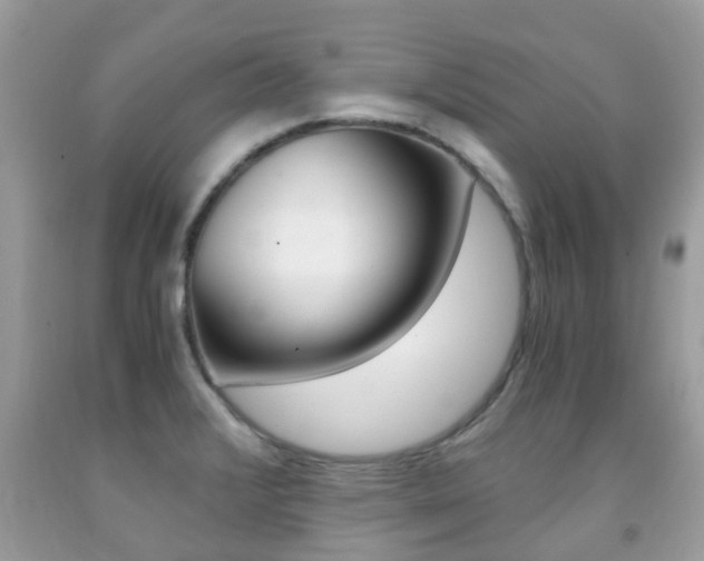 X0000091941376200709051253