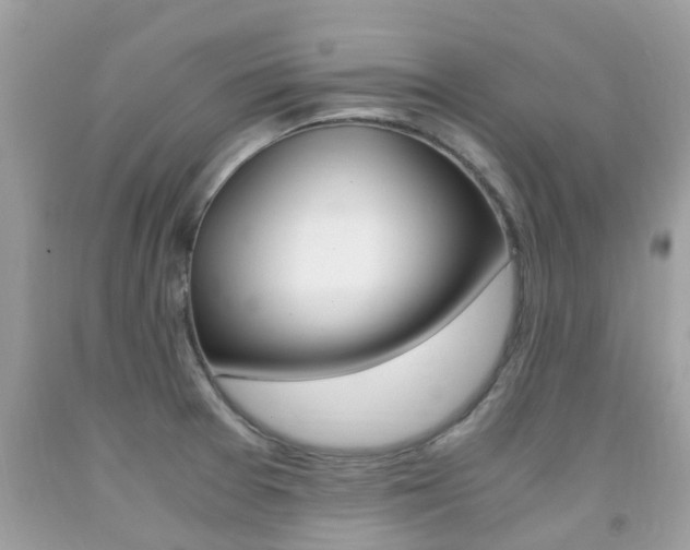 X0000091941377200709051253