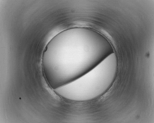 X0000091941378200709051253