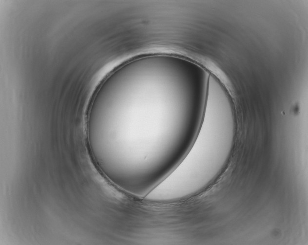 X0000091941380200709051253