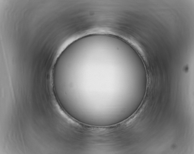 X0000091941382200709051253