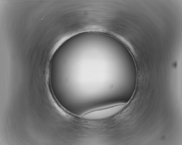X0000091941383200709051253