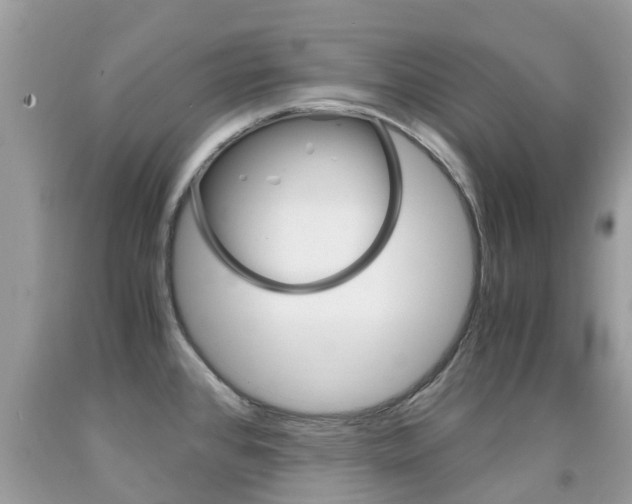 X0000091941384200709051253