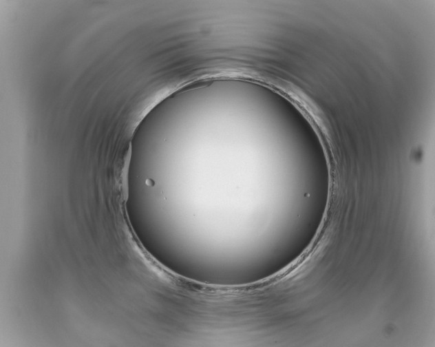 X0000091941385200709051253