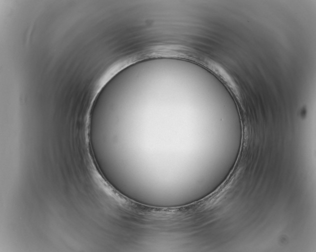 X0000091941386200709051253