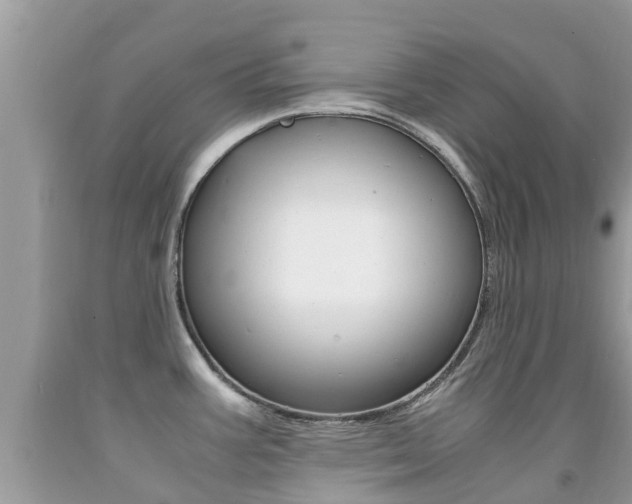 X0000091941387200709051253