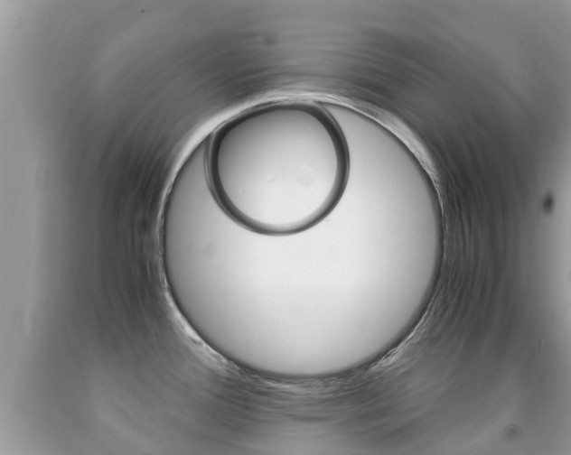 X0000091941388200709051253